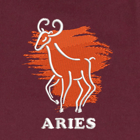 CRAZY EMBROIDERY HOODIE – ARIES